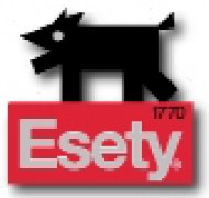 esety9